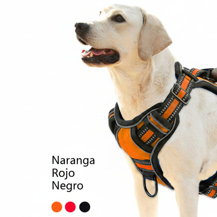 ARNÉS REFLECTANTE NO-PULL