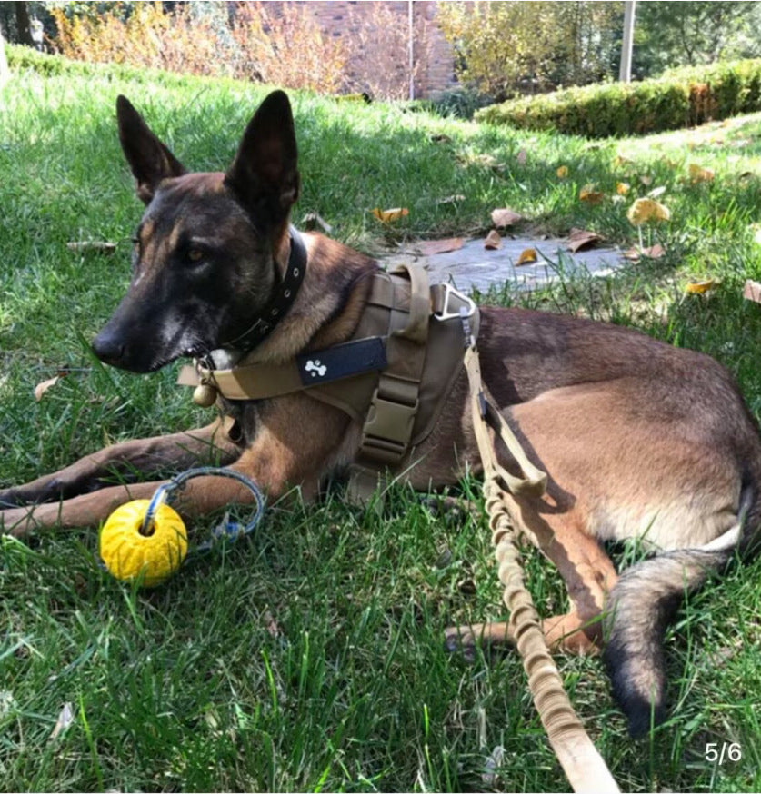 CORREA ELÁSTICA TWO HANDLES