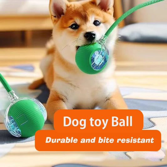 Interactive Dog Ball Toy